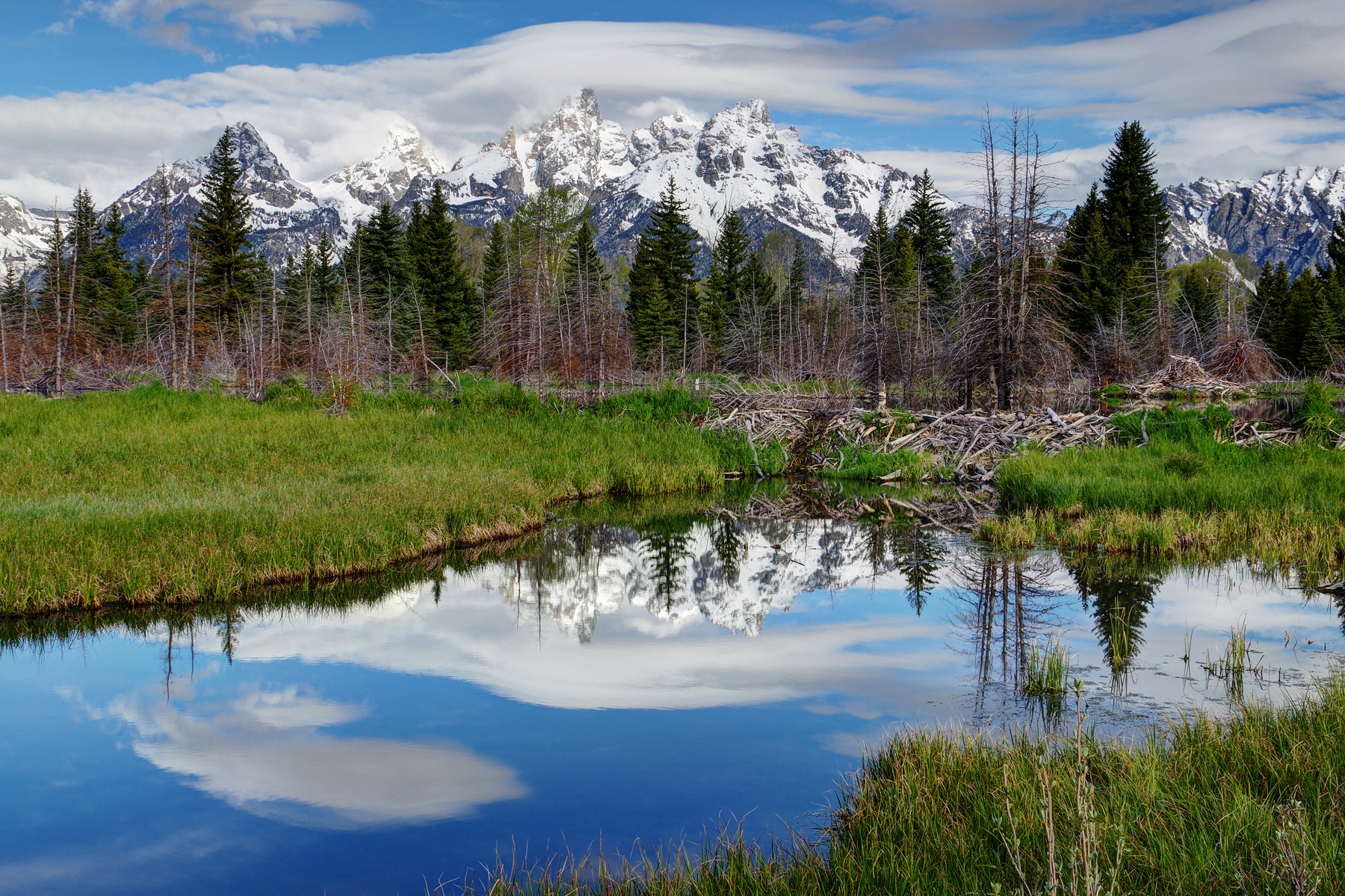 The Teton range reflected in the water at Schwabacher Landing