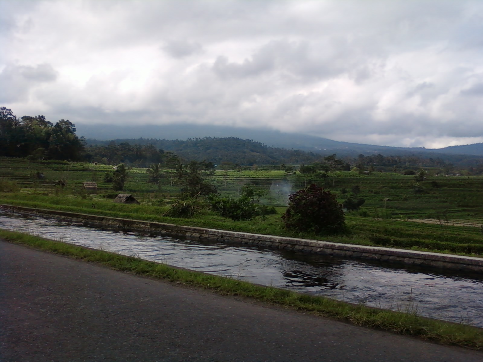 Rice terraces in the Sidemen valley in east Bali, below Mount Agung